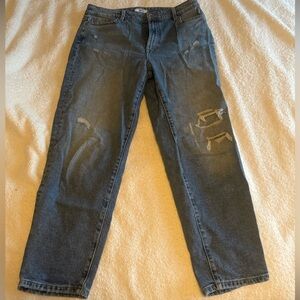 Tommy Hilfiger Tommy Jeans Blue Denim Jeans